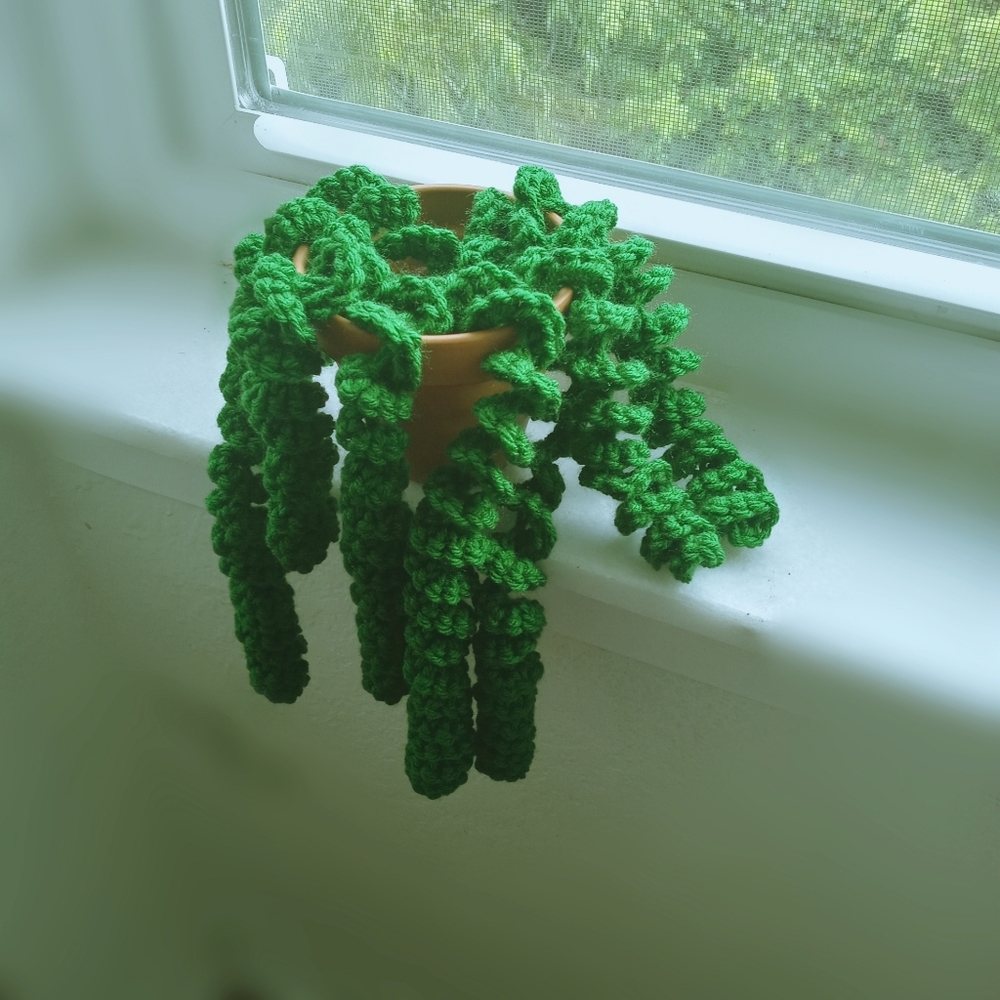 Handmade Dangling Curly Succulent Plant